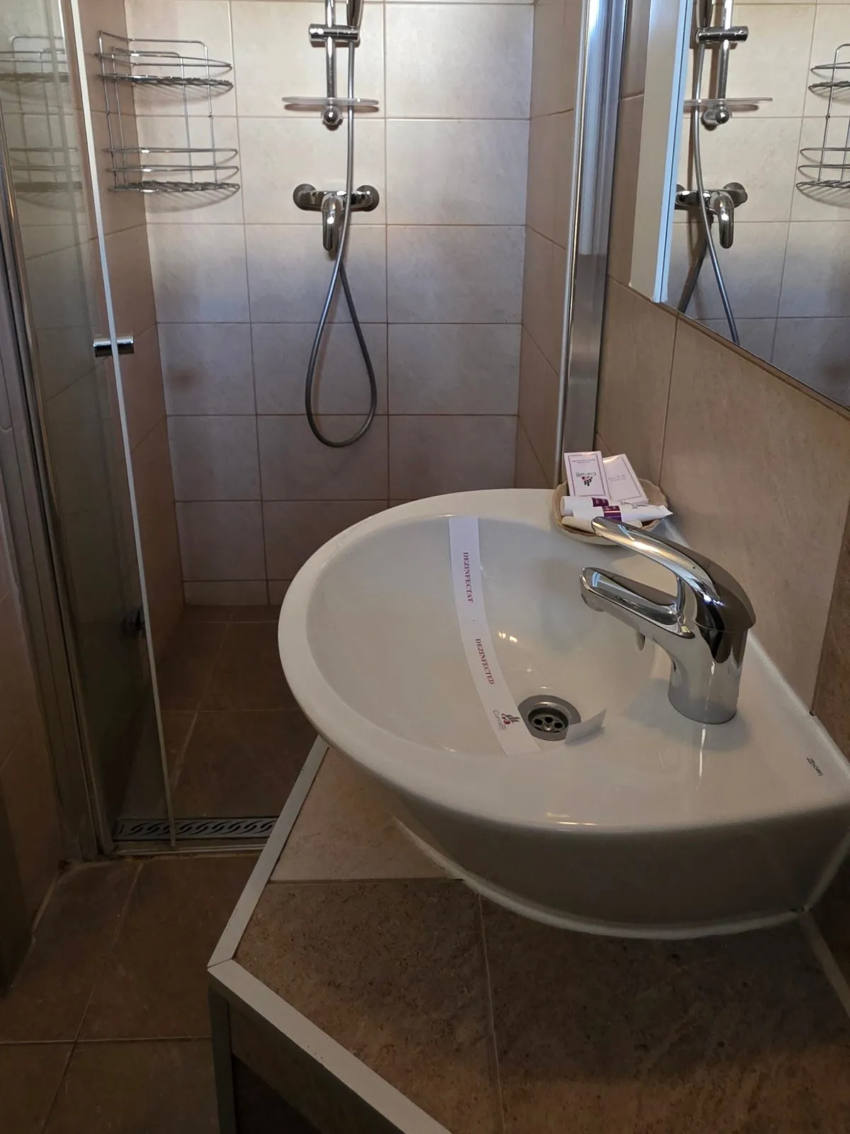 The green double room's bathroom, with a countertop basin and shower